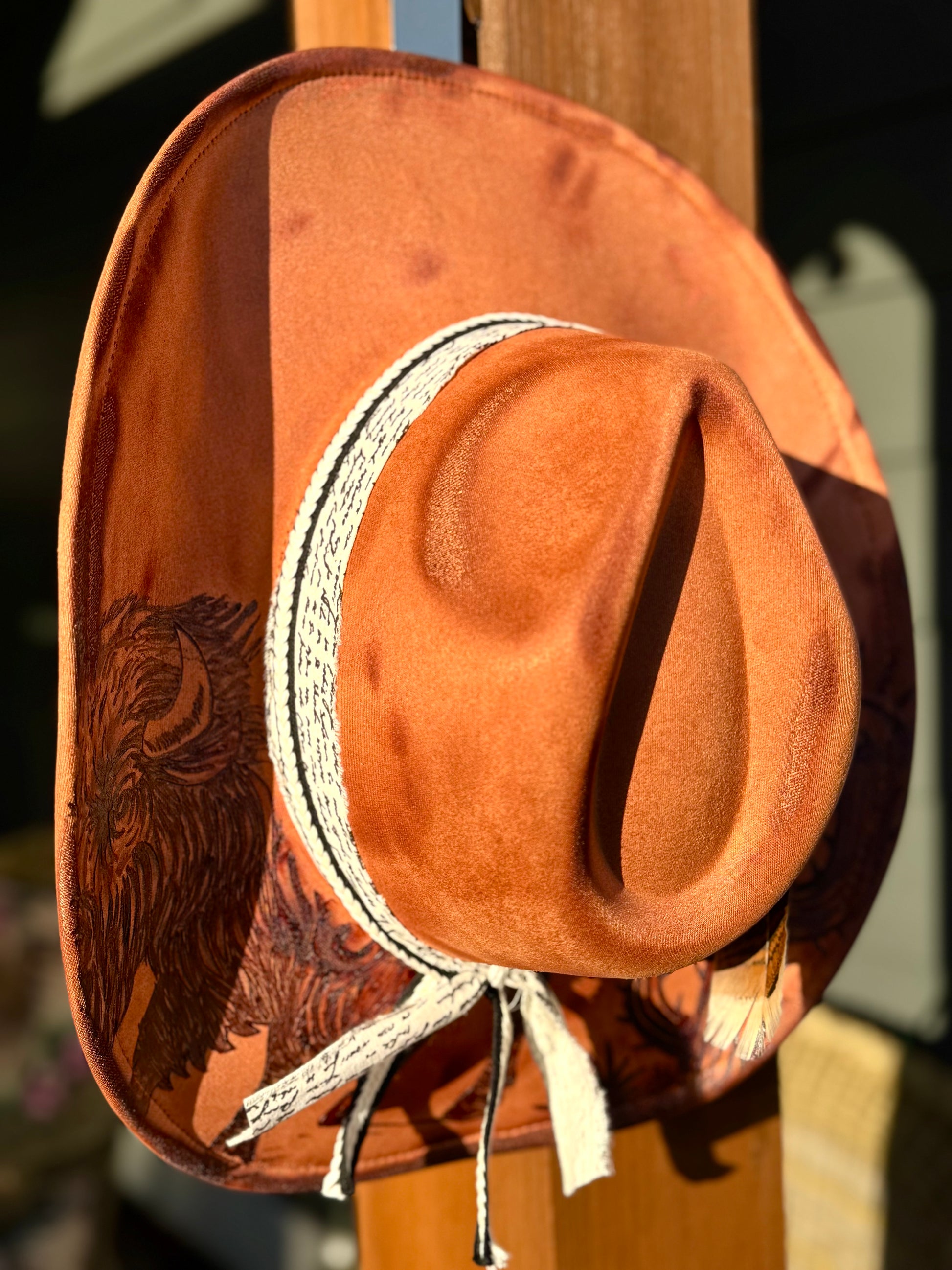 Desert Outlaw Cowboy