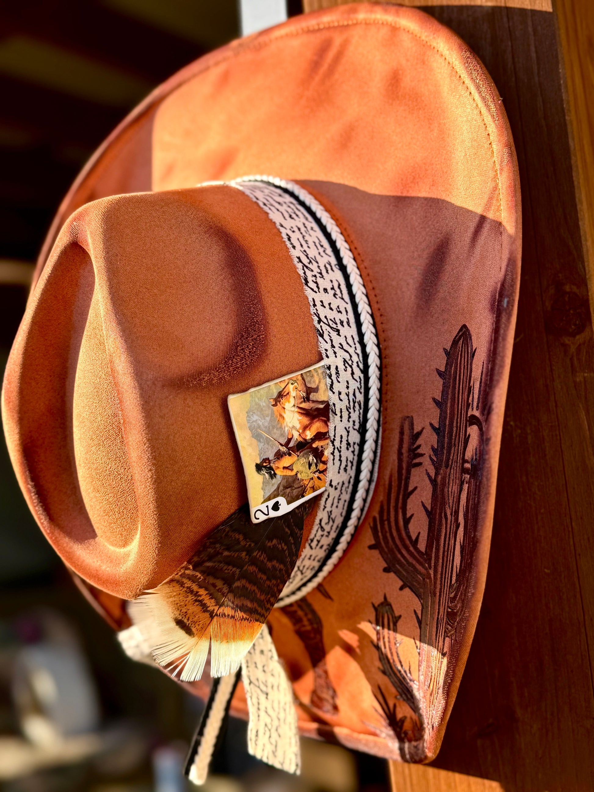 Desert Outlaw Cowboy