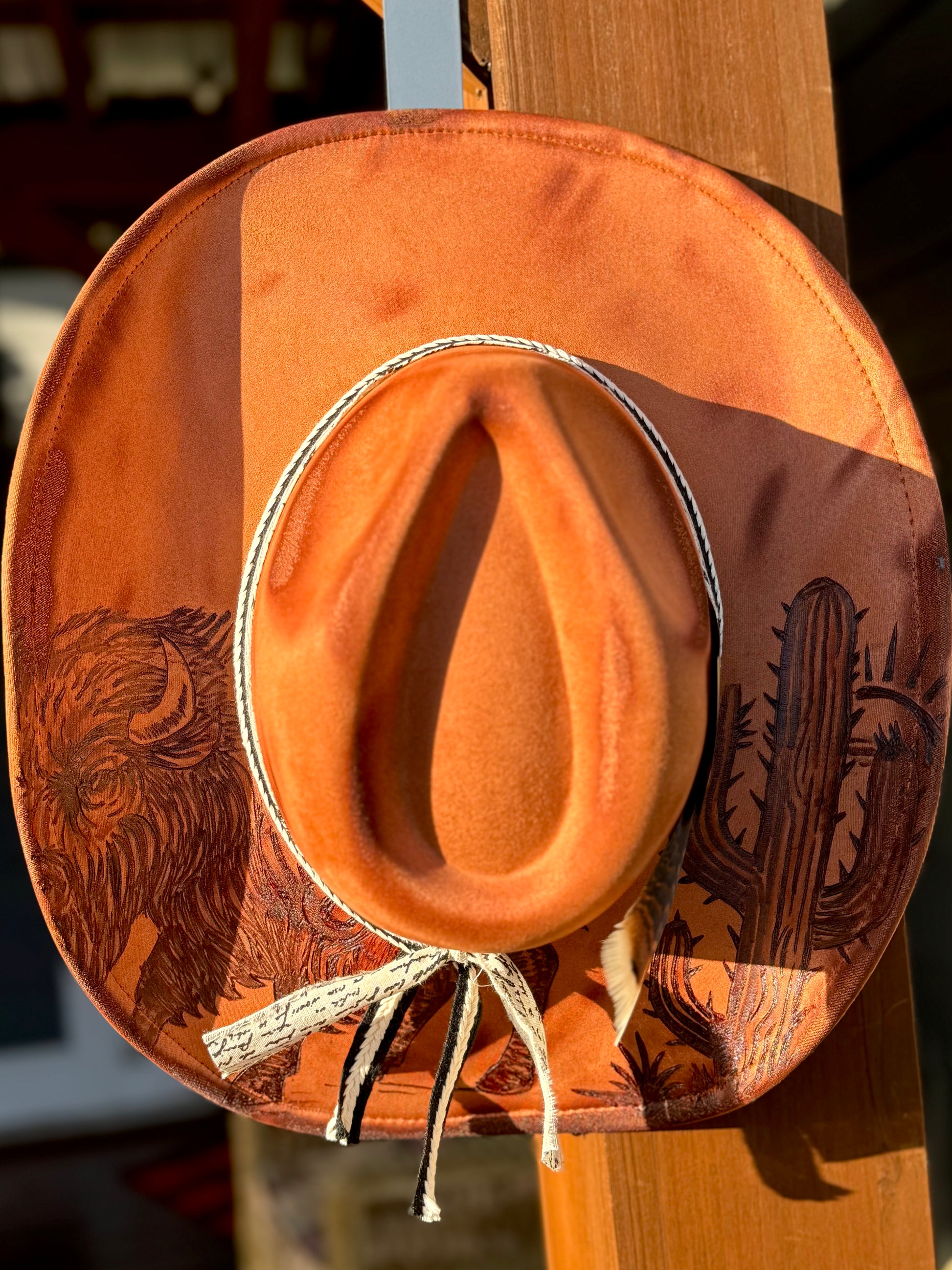 Desert Outlaw Cowboy